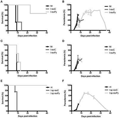 Spleen-Dependent Immune Protection Elicited by CpG Adjuvanted Reticulocyte-Derived Exosomes from Malaria Infection Is Associated with Changes in T cell Subsets' Distribution